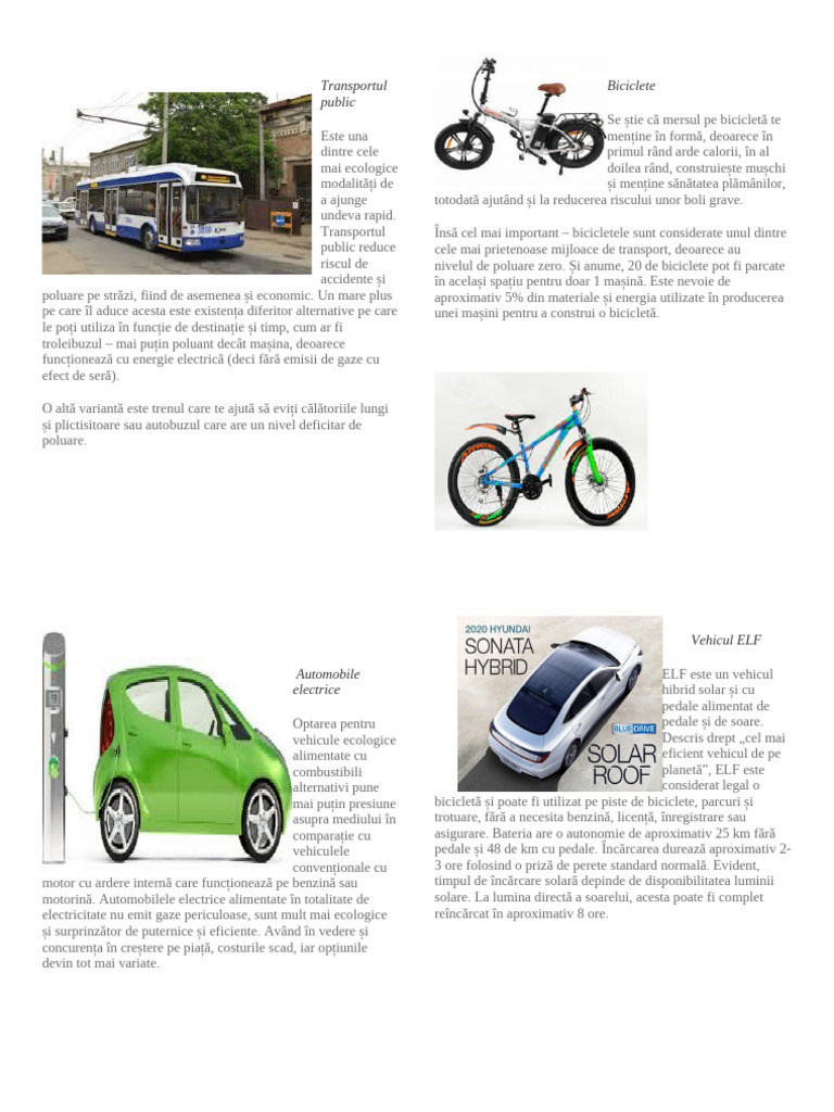 Transportul Public | PDF