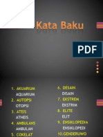 Kata Baku