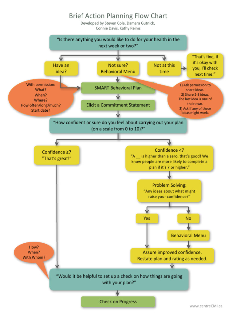 BAP Flow Chart 2016-08-08 | PDF