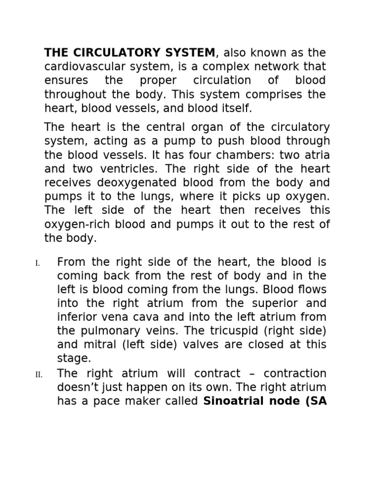 The Circulatory System | PDF