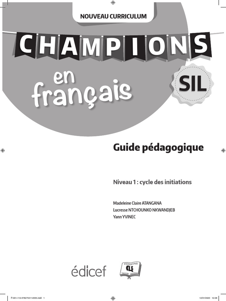Guide Pedagogique SIL | PDF
