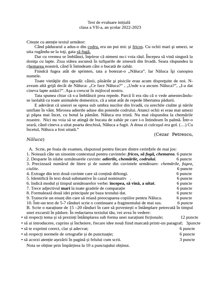 Test de Evaluare Initiala | PDF