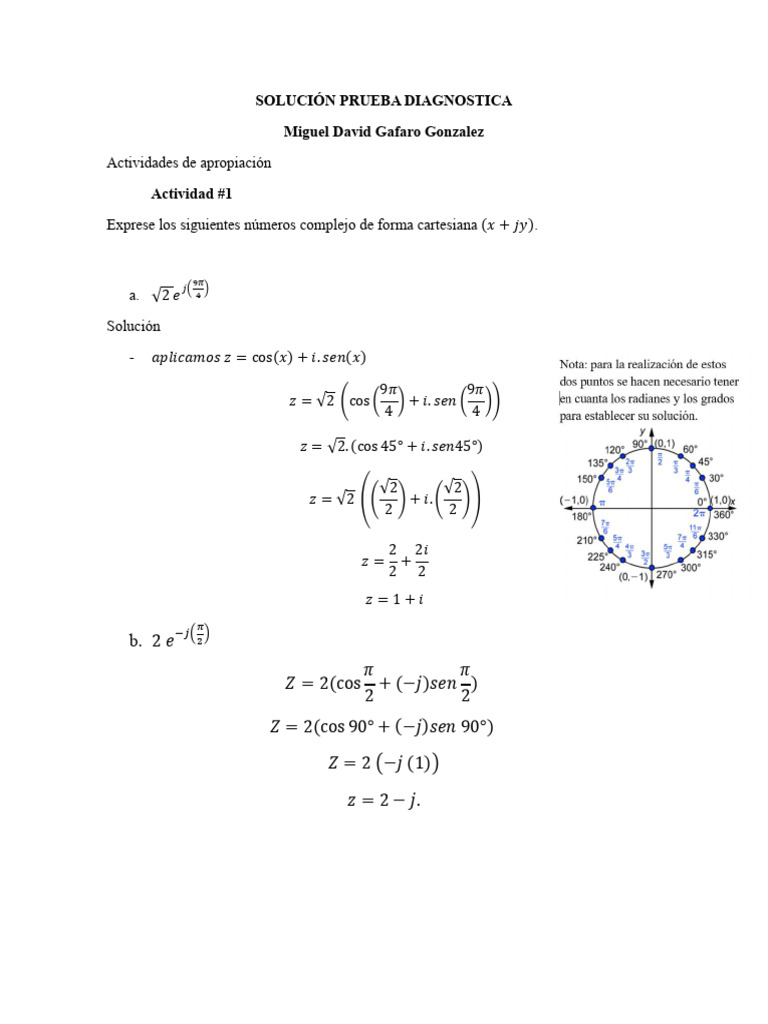 Pruba Diagnostica | PDF
