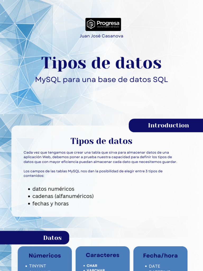 Tipo de Datos | PDF | Tipo de datos | Ingeniería de software