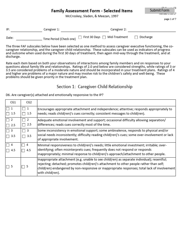Modified Family Assessment Form | PDF