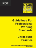Download SoR Professional Working Standards Guidelines by Otgon Ginj SN76624584 doc pdf
