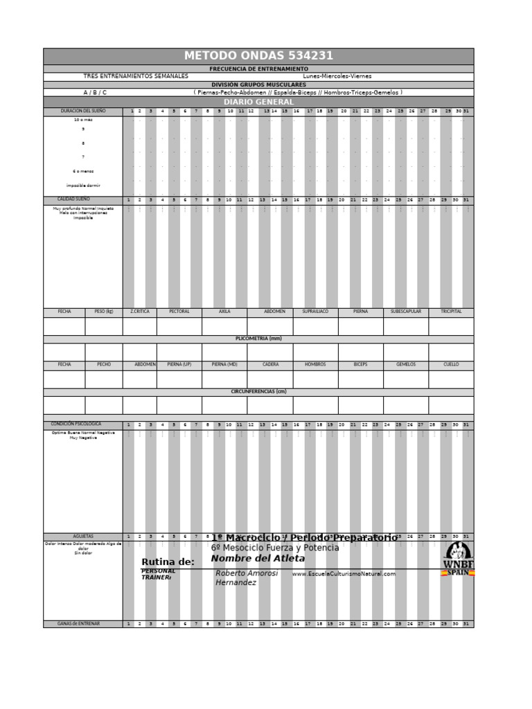 6 Mesociclo - Ondas 534231 | PDF