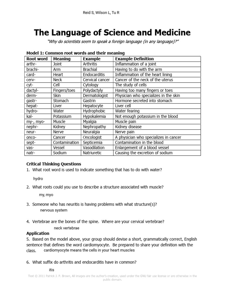 Pogil Hhap | PDF