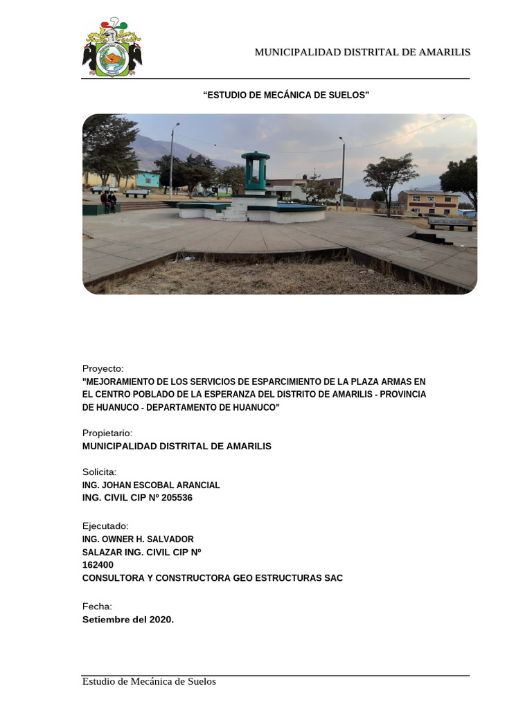 Municipalidad Distrital de Amarilis: Proyecto | PDF
