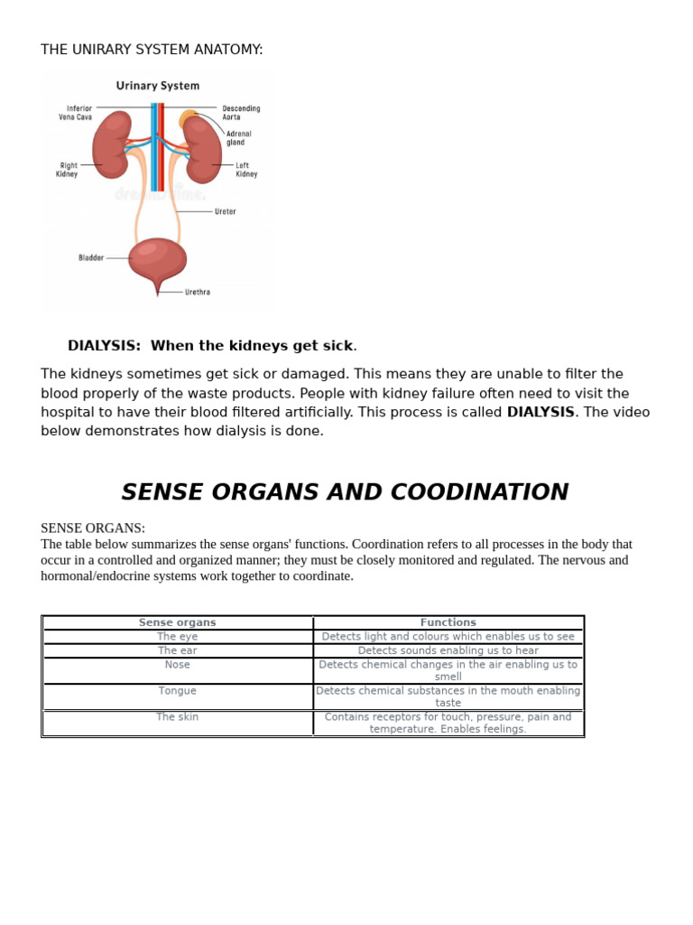 Science Form 4 Notes | PDF