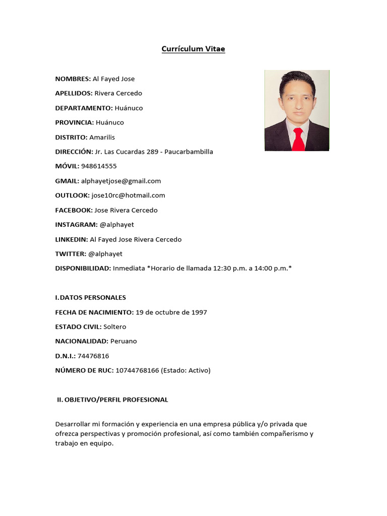 Currículum Vitae | PDF