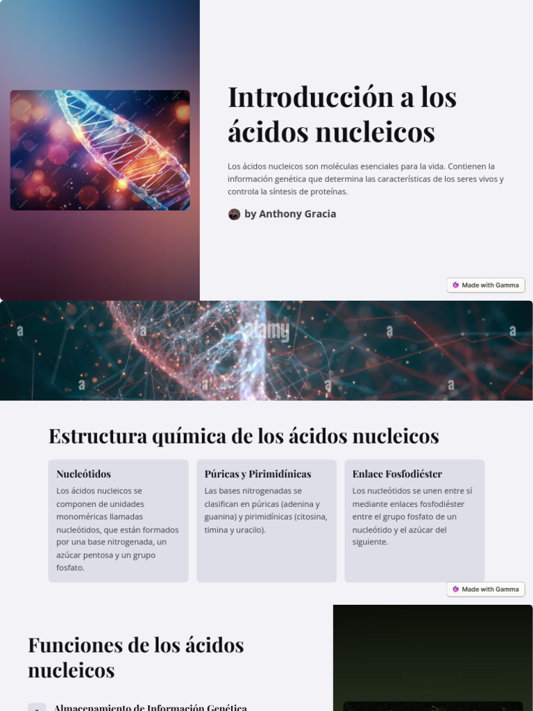 Introduccion A Los Acidos Nucleicos | PDF | Rna | Ciencia y matemáticas