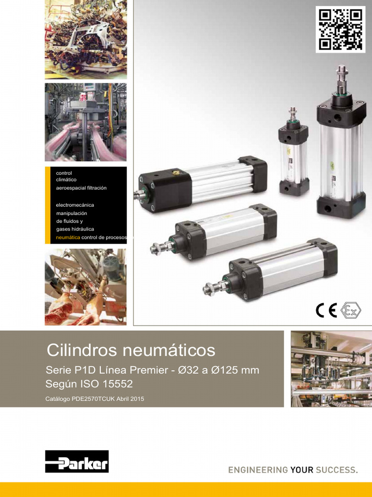 Cilindro Pneumatico Parker P1L Serie P1L – Doppio Effetto, Corsa 12", 150 Psi USATO
