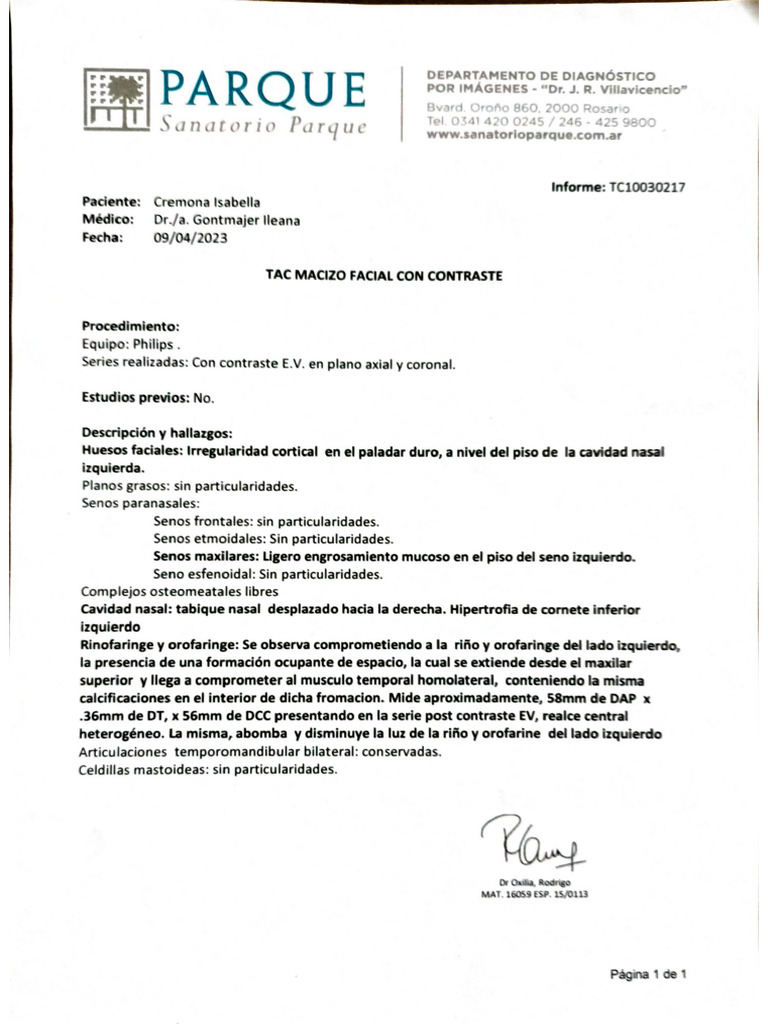 Documento 17 | PDF