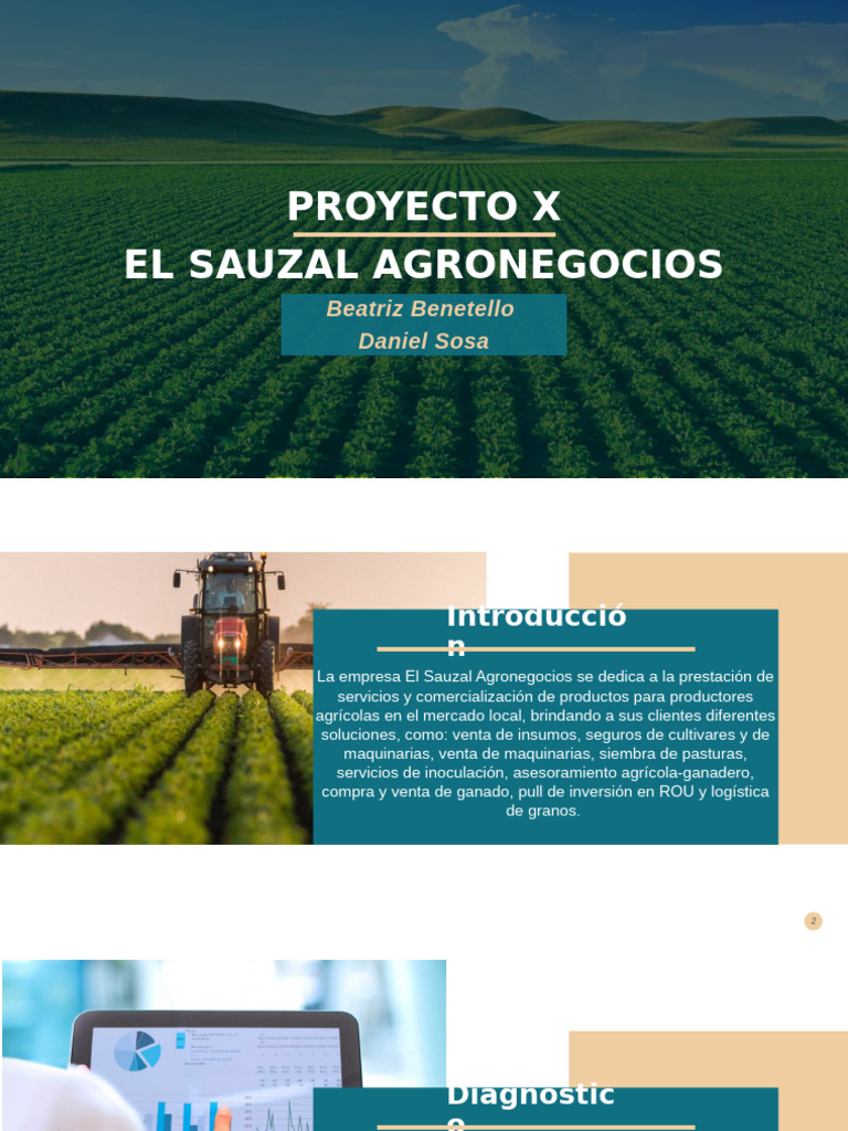 Proyecto X | PDF