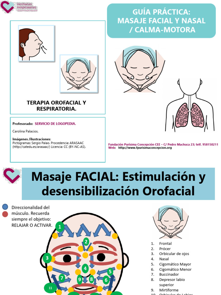 Guia Practica Terapia Orofacial y Respiratoria. | PDF
