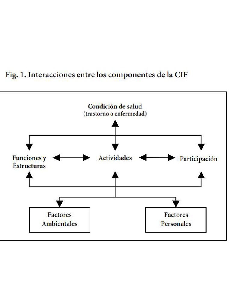 Cif Componentes | PDF