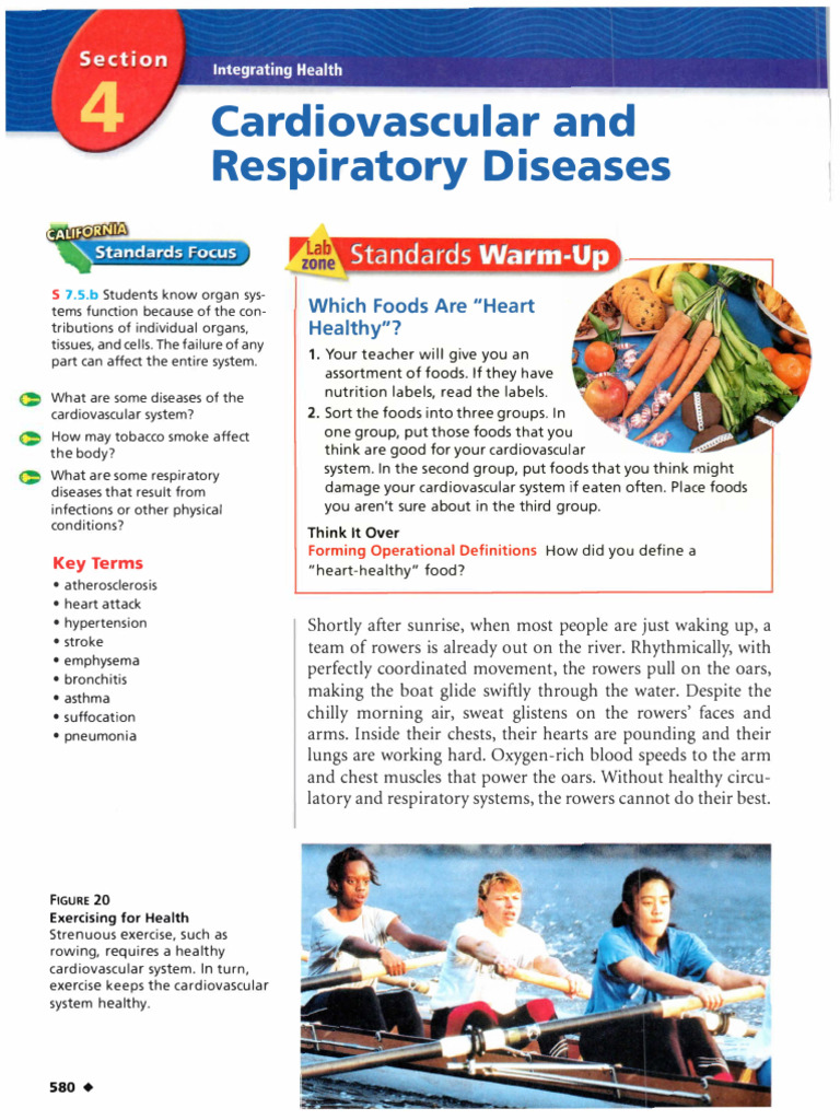 Chapter 14 Section 4 Cardiovascular and Respiratory Diseases | PDF ...