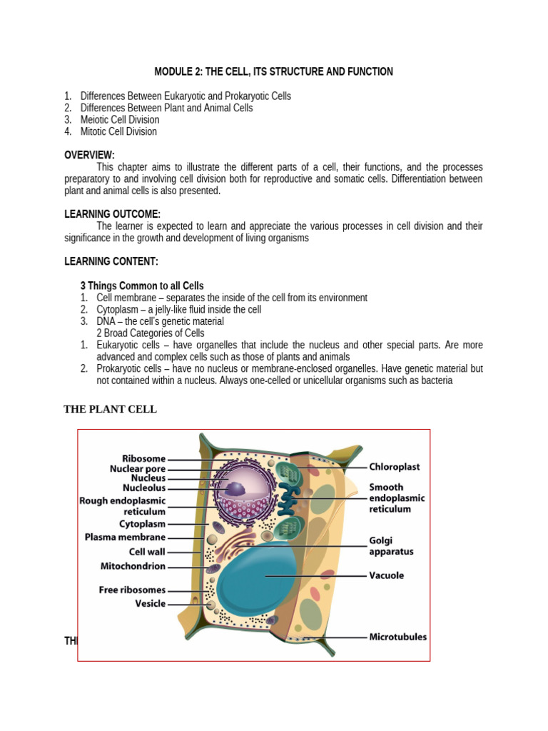 Module 2 The Cellits Structure and Function | PDF | Mitosis | Science ...