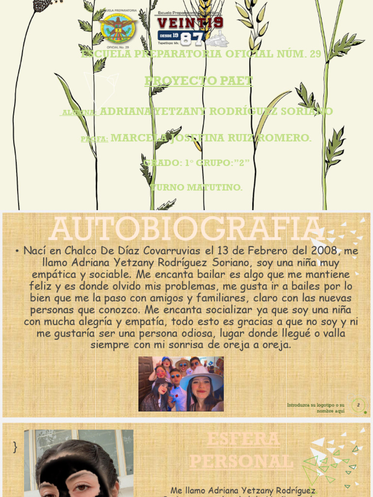 proyectopaet-Autoguardado-Autoguardado | PDF