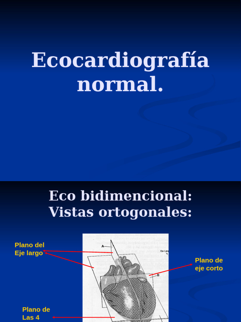 ecocardiograf-a-normal-pdf-coraz-n-ciencia-y-matem-ticas