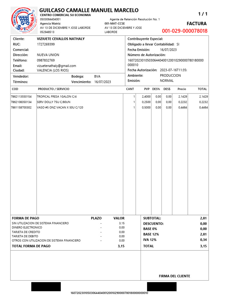 Ejemplo de Factura en México | PDF | Tecnología financiera | Finanzas y ...