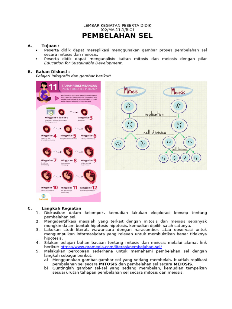 Pembelahan Sel | PDF | Sains & Matematika