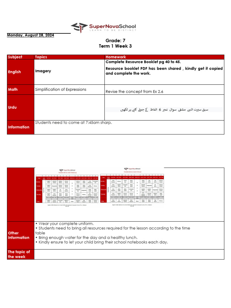Grade 7 DLS 28.08.2024111 | PDF