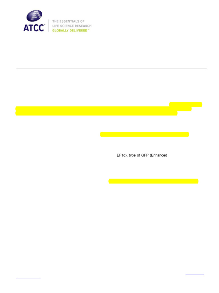 TransfeX General Protocol | PDF | Transfection | Science & Mathematics