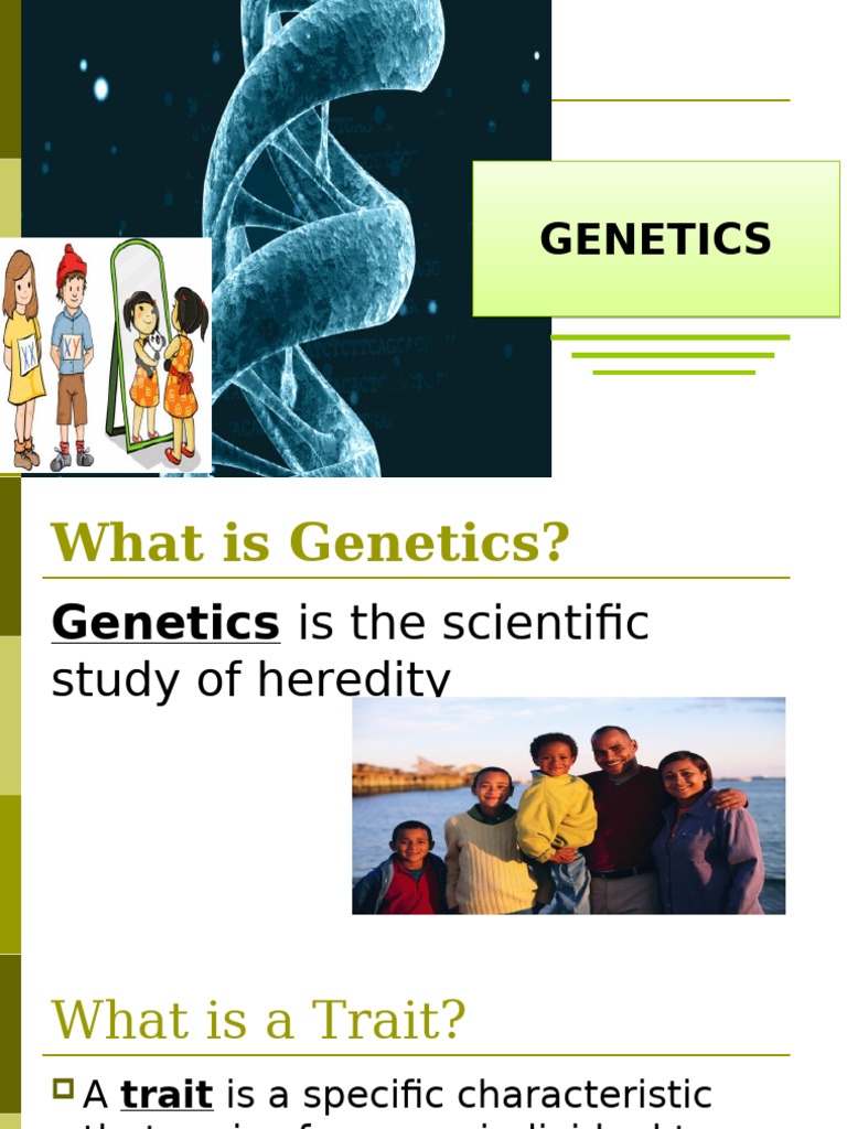 Incomplete Dominance | PDF | Dominance (Genetics) | Genotype