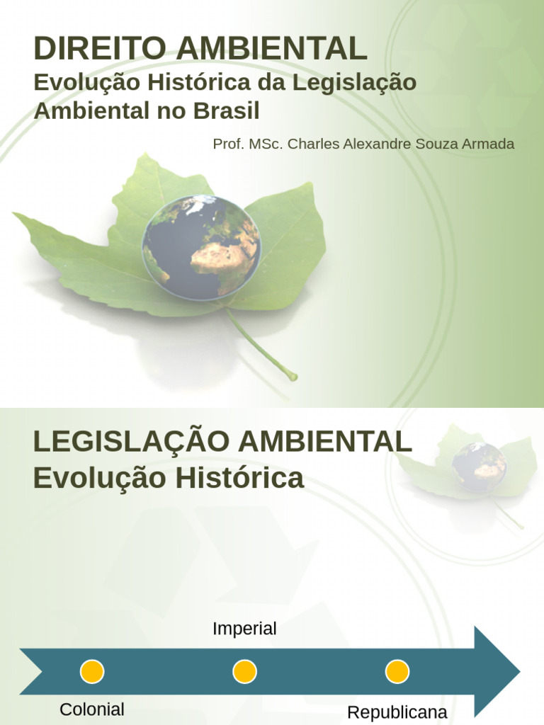 DIREITO AMBIENTAL - Evolução Histórica Da Legislação Ambiental No ...