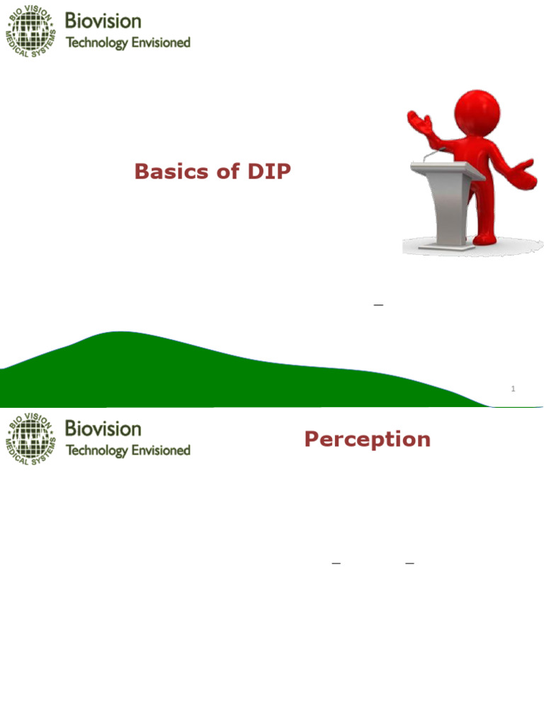 05 - DIP Basics 1 | PDF