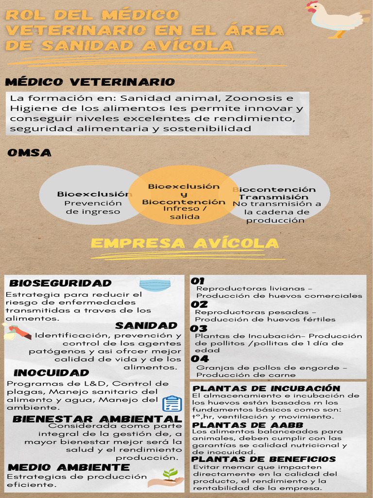 Rol Del Médico Veterinario en El Área de Salud Avícola - 20240628 ...