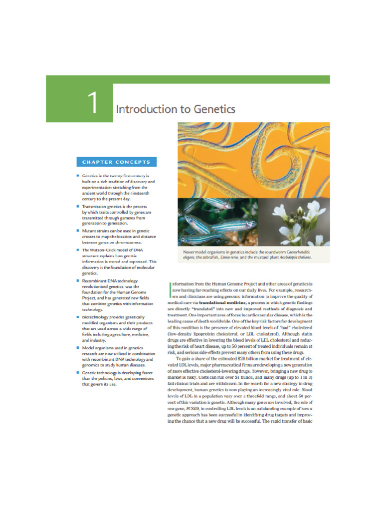 Reading Gen | PDF