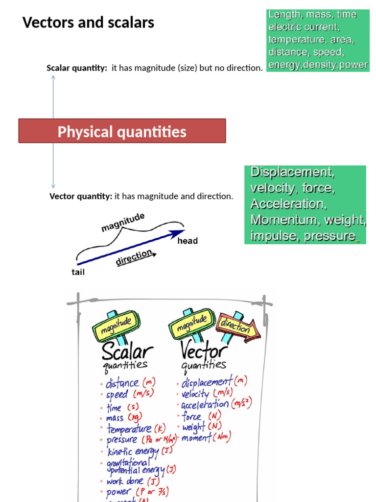 Vectors and Scalars | PDF