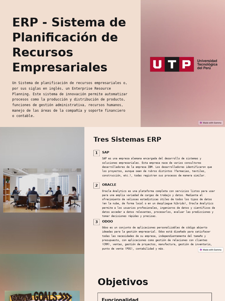 Erp Sistema De Planificacion De Recursos Empresariales Pdf