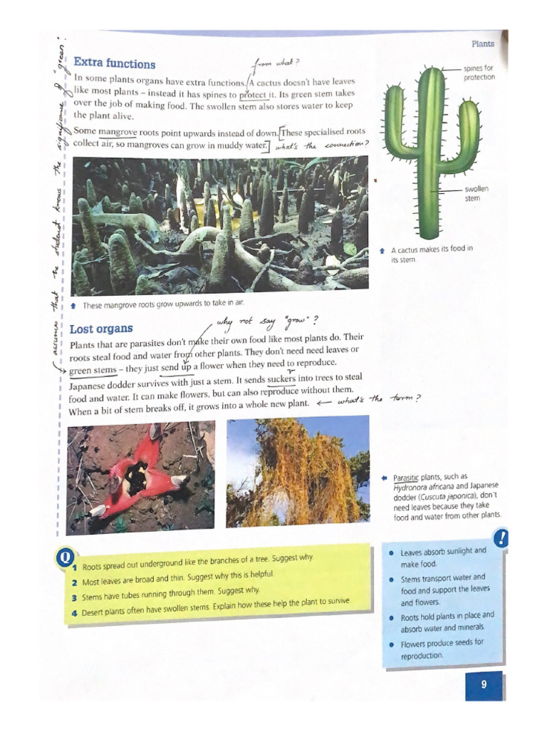 Extra Functions | PDF
