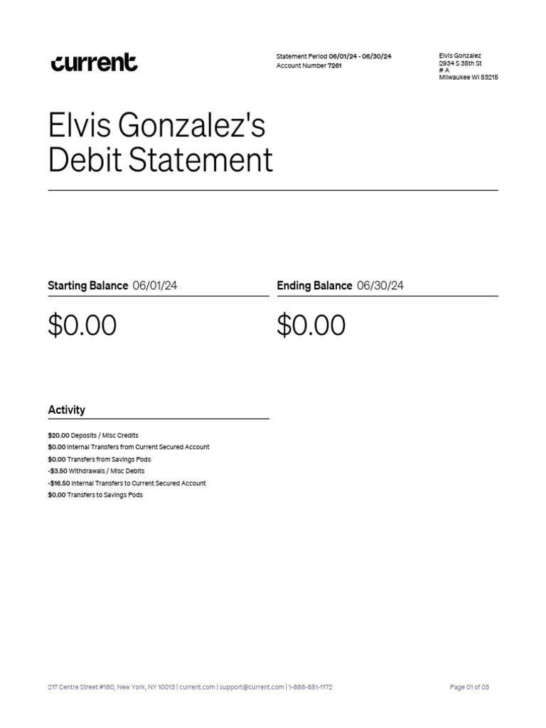 Debit Statement June 2024 | PDF