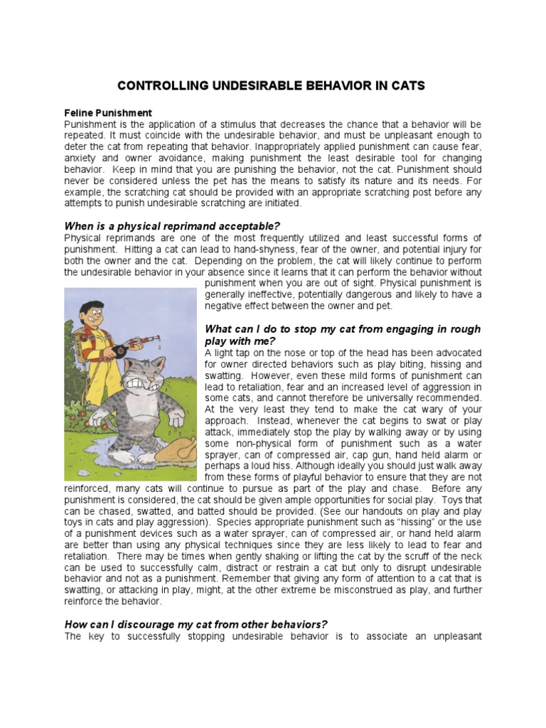Controlling Undesirable Behavior in Cats: When Is A Physical Reprimand ...