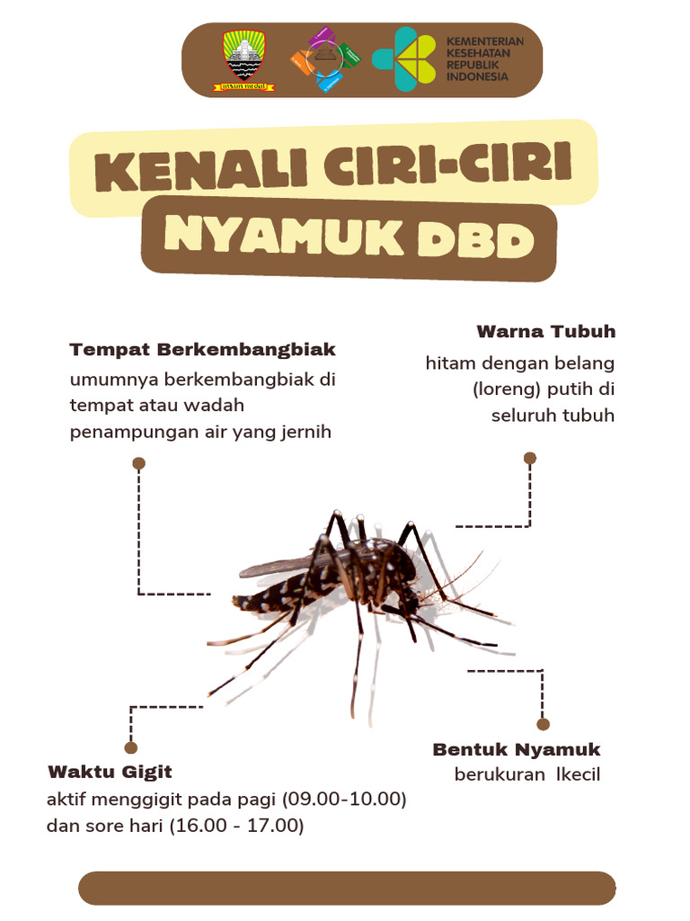 Kenali Ciri Ciri Nyamuk DBD 20240417 142704 0000 PDF