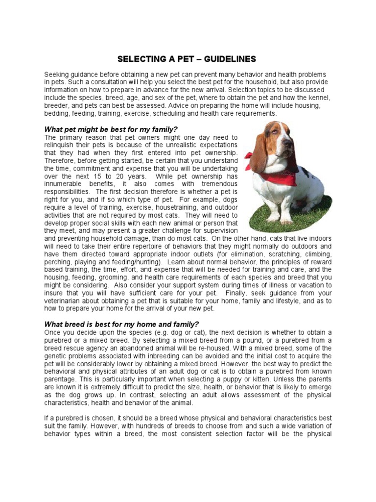 Pet Selection and Preparation Guide | PDF | Pet | Dogs