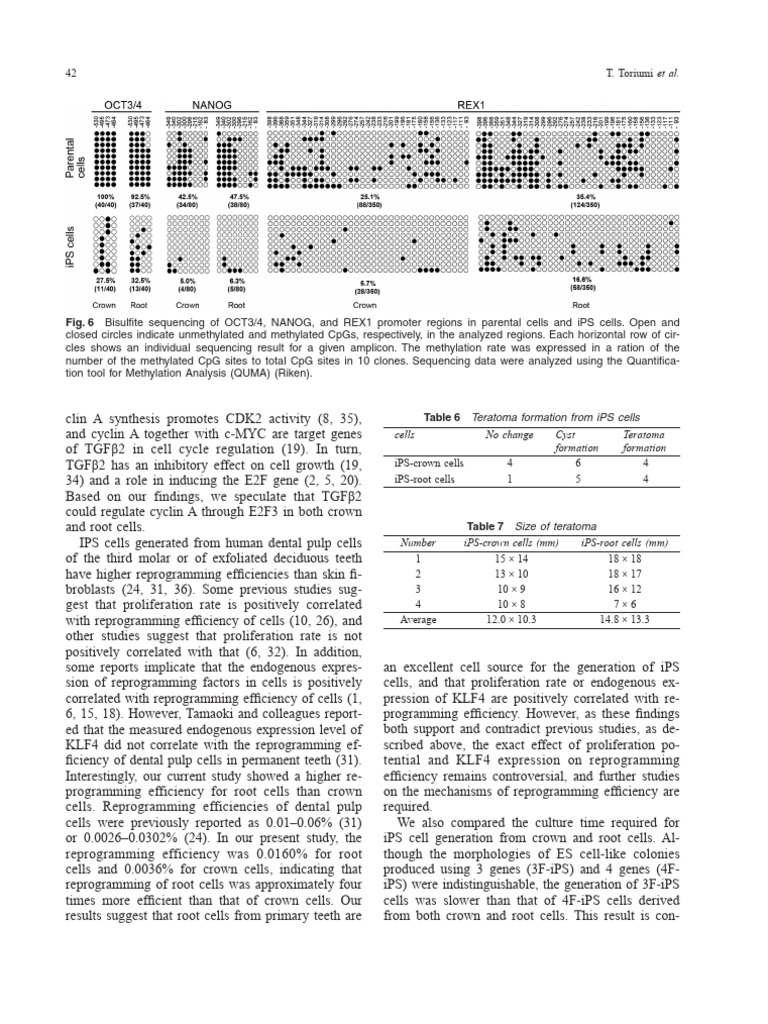 Characterization of Mesenchymal Progenitor Cells I (1) - 12 | PDF