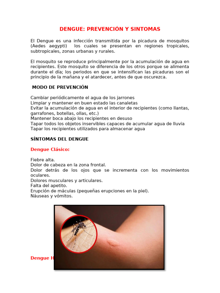 DENGUE | PDF