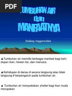 Download Manfaat Tumb Air 6 by Endang Anggarwulan SN76655336 doc pdf
