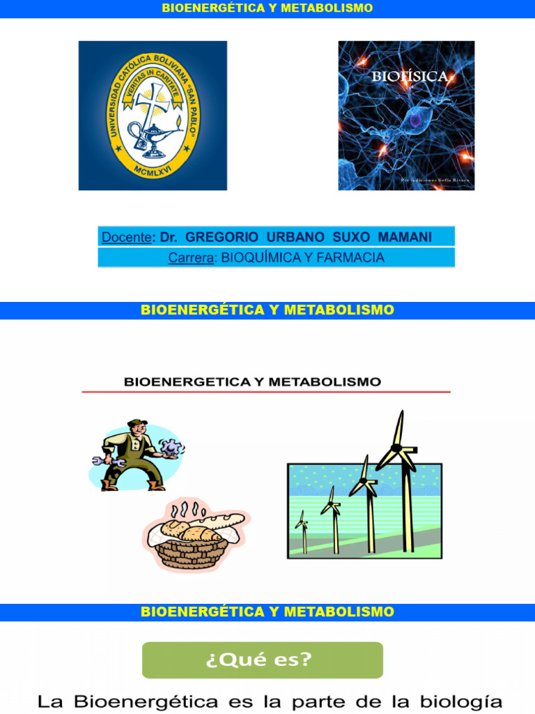 BIOENERGÉTICA-Y-METABOLISMO | PDF