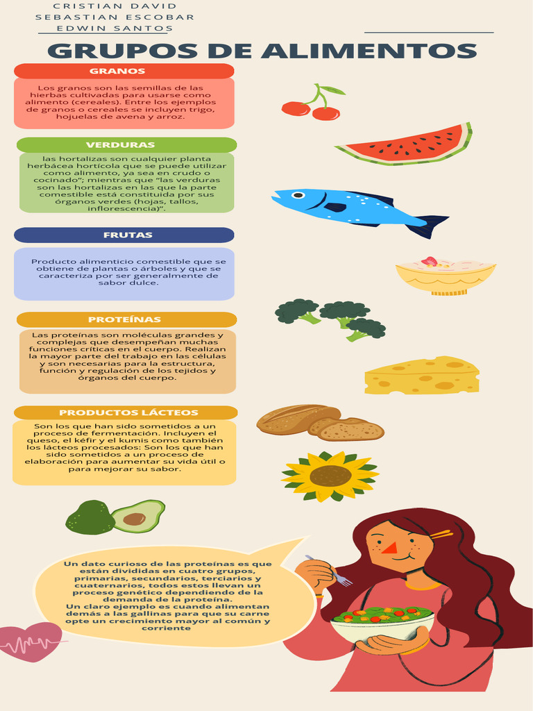 Grupos De Alimentos Pdf