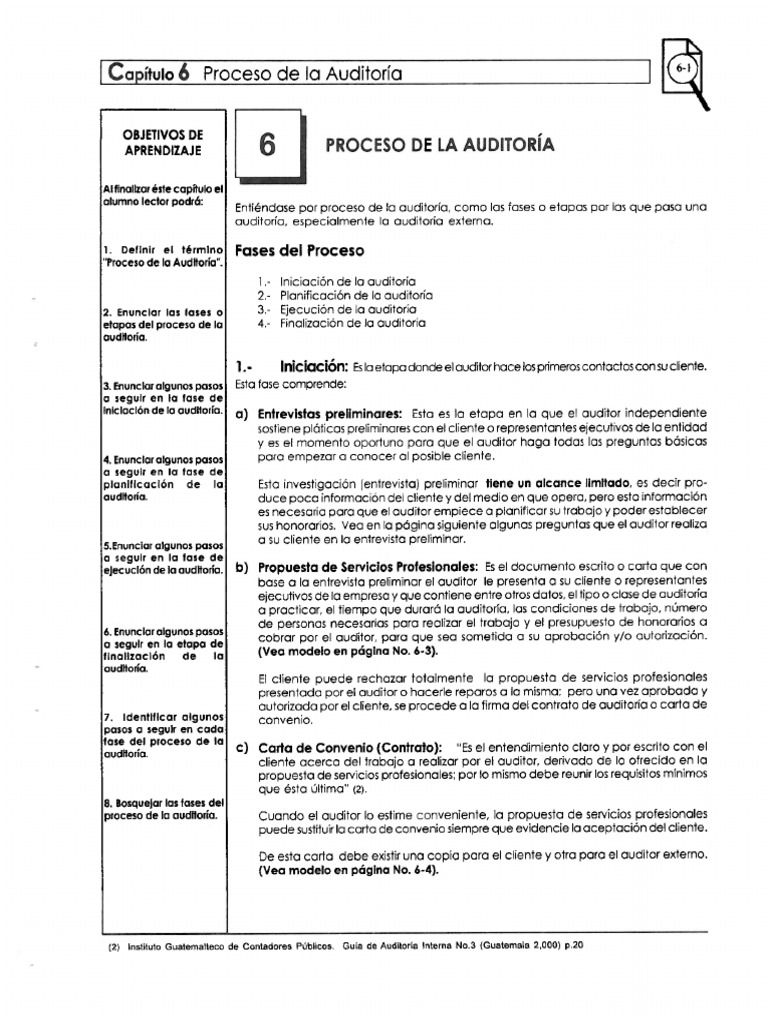 Proceso de La Auditoría | PDF