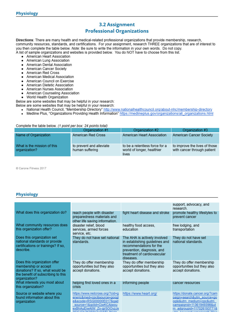 3 2assignment Organizations | PDF