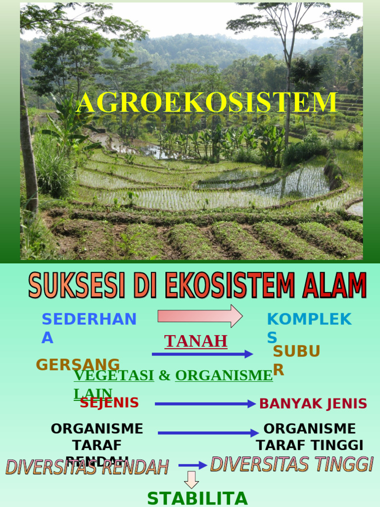 Agroekosistem Pdf