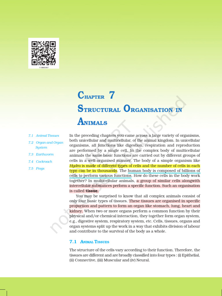 Structural Organisation in Animals | PDF